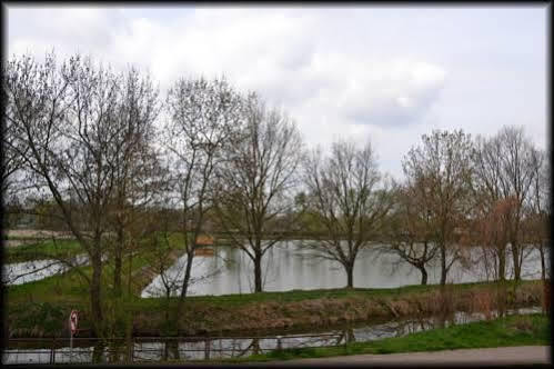 Penzion U Kohoutka Pardubice Exterior photo